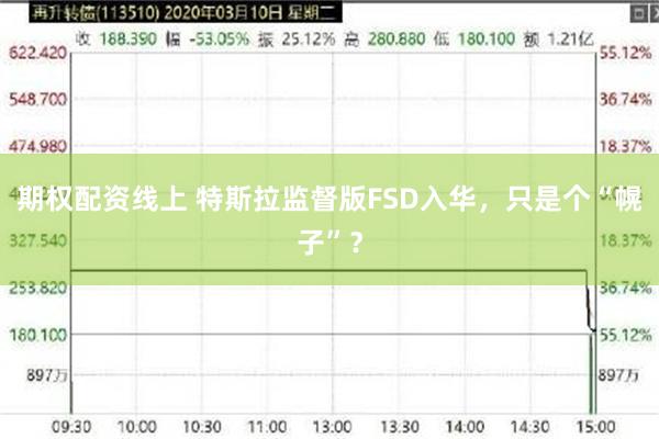 期权配资线上 特斯拉监督版FSD入华，只是个“幌子”？