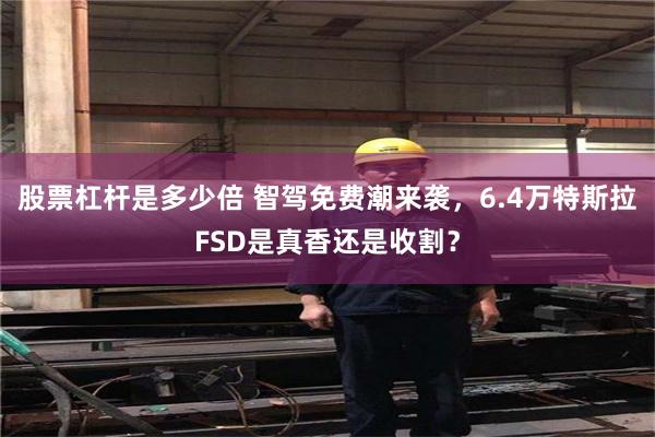 股票杠杆是多少倍 智驾免费潮来袭，6.4万特斯拉FSD是真香还是收割？